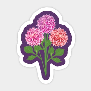 Dahlias Sticker